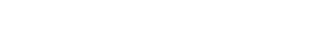 山東華威保安集團